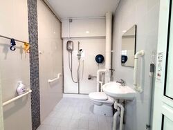 Blk 110 Mcnair Spring (Kallang/Whampoa), HDB Executive #599215741